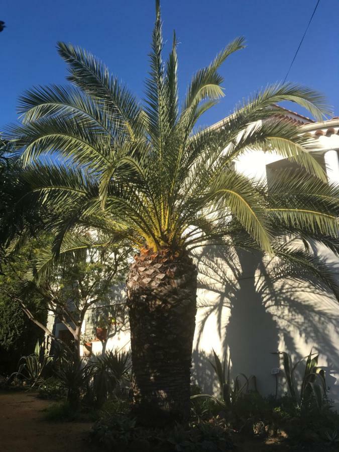 Rez De Villa Pebrier Frejus Luaran gambar
