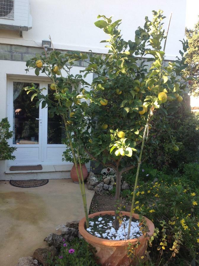 Rez De Villa Pebrier Frejus Luaran gambar